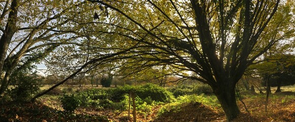 En promenade dans la campagne au lieu-dit Barré à Briec en Bretagne Cornouailles Finistère France	