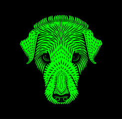 illustration of a green dog's head on a black background
