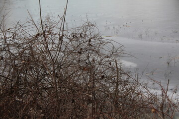 snow on the river