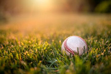 Ball of baseball on the lawn. - obrazy, fototapety, plakaty