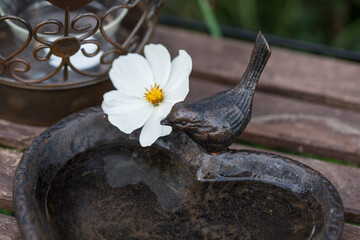 Bird Bath With White Flower