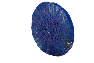 Macro stone mineral Azurite on a white background