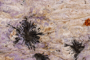 Macro stone Aegirine in charoite on white background