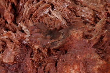 Fototapeta premium Macro stone Topaz mineral in rock on a white background