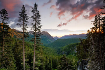 Obraz premium Landscape of Mount Rainier National Park in USA