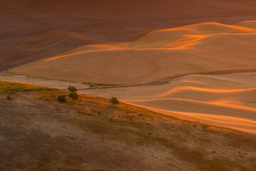 View of Steptoe Butte in the Palouse region, Washington state USA