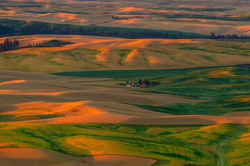 View of Steptoe Butte in the Palouse region, Washington state USA