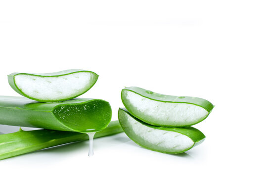 aloe vera leaf with slice