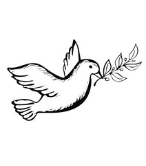 Fototapeta premium Dove with olive branch. Symbol of Hope and Peace.Vector Illustration in doodle style.