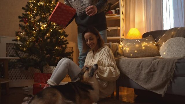 family celebrating Christmas with cute Corgi dog at festive decorated cozy house. happy smiling woman stroking dog and getting present in gift box from loving man on New Year celebration at home