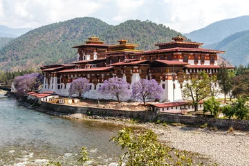  View at Punakha Dzong monastery and the landscape with the Mo Chhu river, Bhutan, Asia © jeeweevh