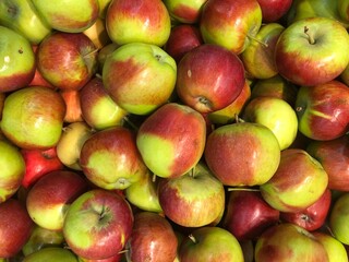 apples in the market