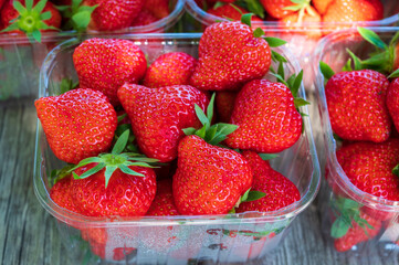 Plastic boxes with ripe red sweet strawberries ready to eat
