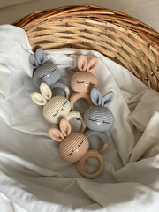 baby in a basket