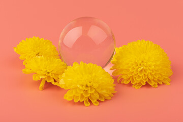 Abstract composition with yellow flowers and glass ball on pink background. Beauty blog layout.