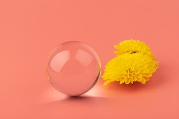 Abstract composition with yellow flowers and glass ball on pink background. Beauty blog layout.