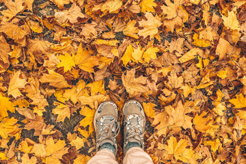 Feet in sneakers on dry yellow autumn leaves, fall concept, copy space for text, autumn is here.