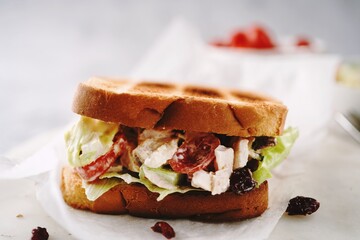 Homemade Turkey / chicken salad sandwich, selective focus