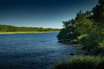 Denmark stock photo with clear skies, greenery and nature