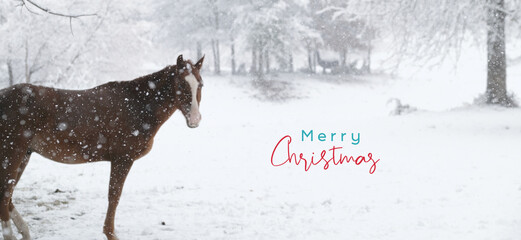 Abstract blurred horse in winter wonderland snow with Merry Christmas greeting.