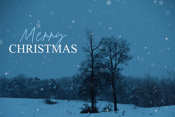 Obraz na płótnie Canvas Merry Christmas blue hour in scenic winter snow.