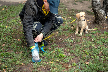 Owner cleaning up poop, with a plastic bag on his hands, after the dog he is walking in the public park. Care about a clean environment.