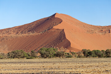 Fototapeta na wymiar Düne im Namib Naukluft, Nationalpark