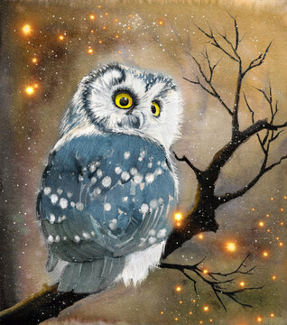  Watercolor picture of an owl with grey blue feathers, white spots and yellow eyes on the tree branch in winter