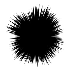Obraz premium vector abstract radial burst. black star explosion