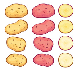 vector whole potatoes and potato cuts