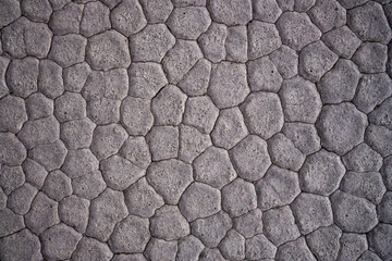 Cracked Surface Creates Polygon Shapes in The Racetrack Playa Surface