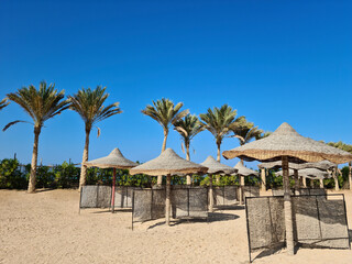 Beach, palm trees, sun umbrellas, separate recreation areas