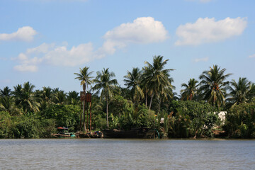 jungle and river around ben tre in south vietnam 