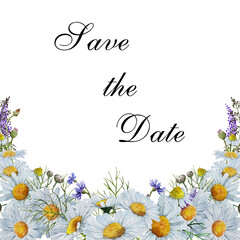 Watercolor Camomile Border, Chamomile Flowers Frame, Floral illustration isolated on white background, Botanical Frame, Spring Chamomile clip art for wedding design, invitations, greeting 