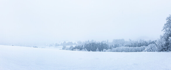 Märchenhaft verschneiter Tannewald an einem kalten Wintertag
