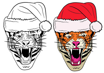 Two snarling portraits of a tiger in a New Year's hat, black and white and color, isolated on a white background. Vector illustration.