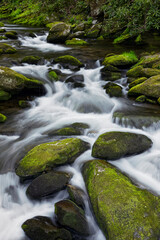 Moss covered boulders and flowing stream, Little Pigeon River, Great Smoky Mountains, National Park, Tennessee