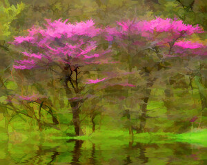 Obraz na płótnie Canvas USA, Tennessee. Abstract of redbud tree in spring.
