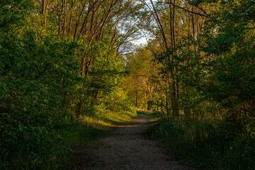Fototapeta premium Raccoon River Park in West Dest Moines, Iowa