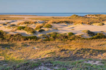 South Padre Island barrier dunes and Laguna Madre