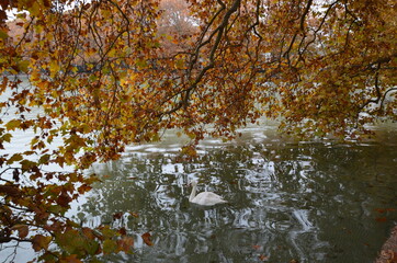 Alrededor lago Annecy