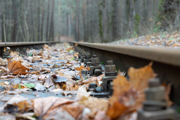 autumn leaves on railroad rails