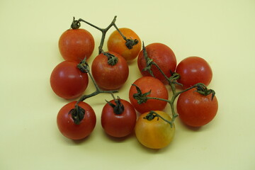 tomatoes on a vine