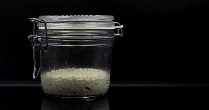 sourdough starter on black background