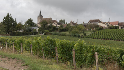 Looking out over a vineyard at a small French village