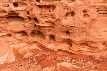 USA, Utah. Capitol Reef National Park, Numerous small openings called waterpockets are visible in the sandstone walls of Grand Wash.