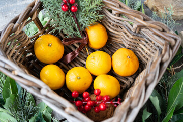 basket with tangerines and coniferous branches. table setting