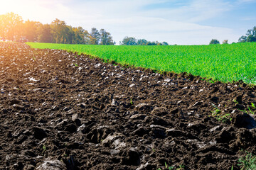 Tractor farm. Agriculture farm machinery on landscape land field. Farmer machine equipment for...