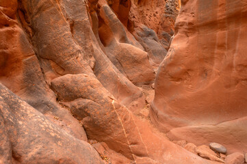USA, Utah. Grand Staircase Escalante National Monument, Cottonwood Narrows displays colorful sandstone formation.