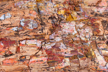 USA, Utah. Escalante Petrified Forest State Park, colorful remains of petrified wood.